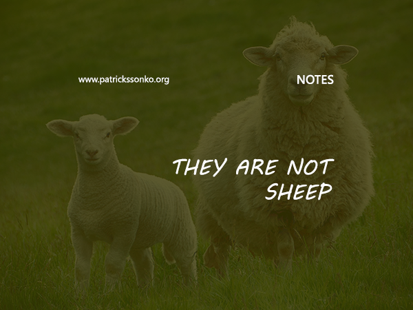 They Are Not Sheep